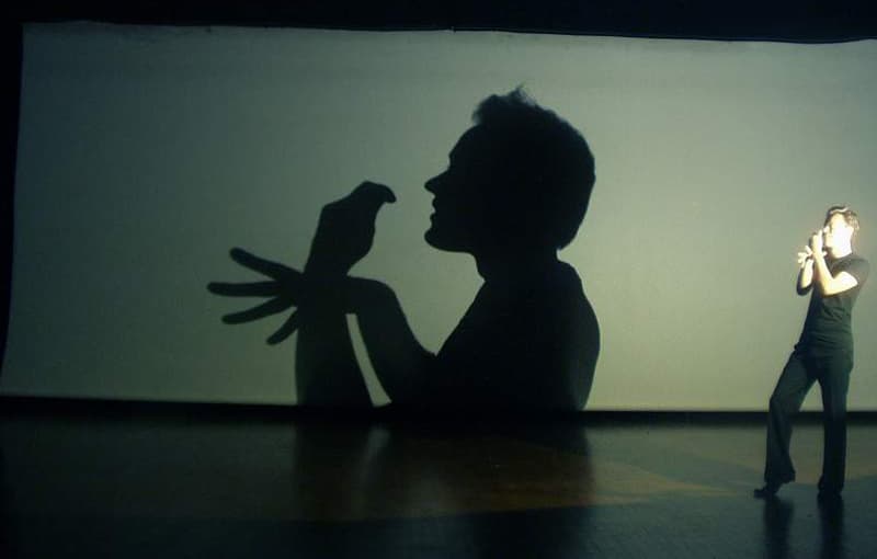 Shadowgraphy
