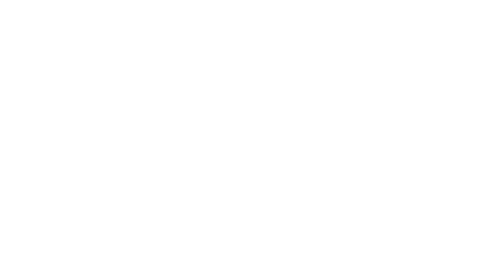 Balloon Twisting