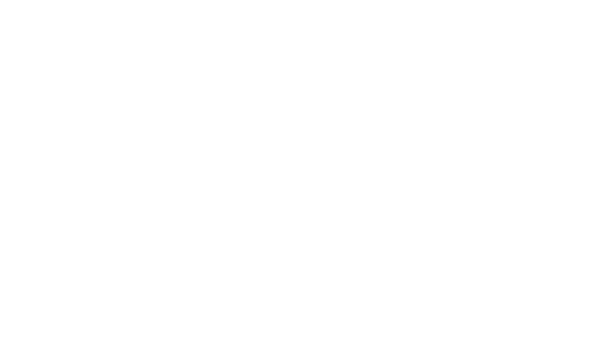 Fake Magicians