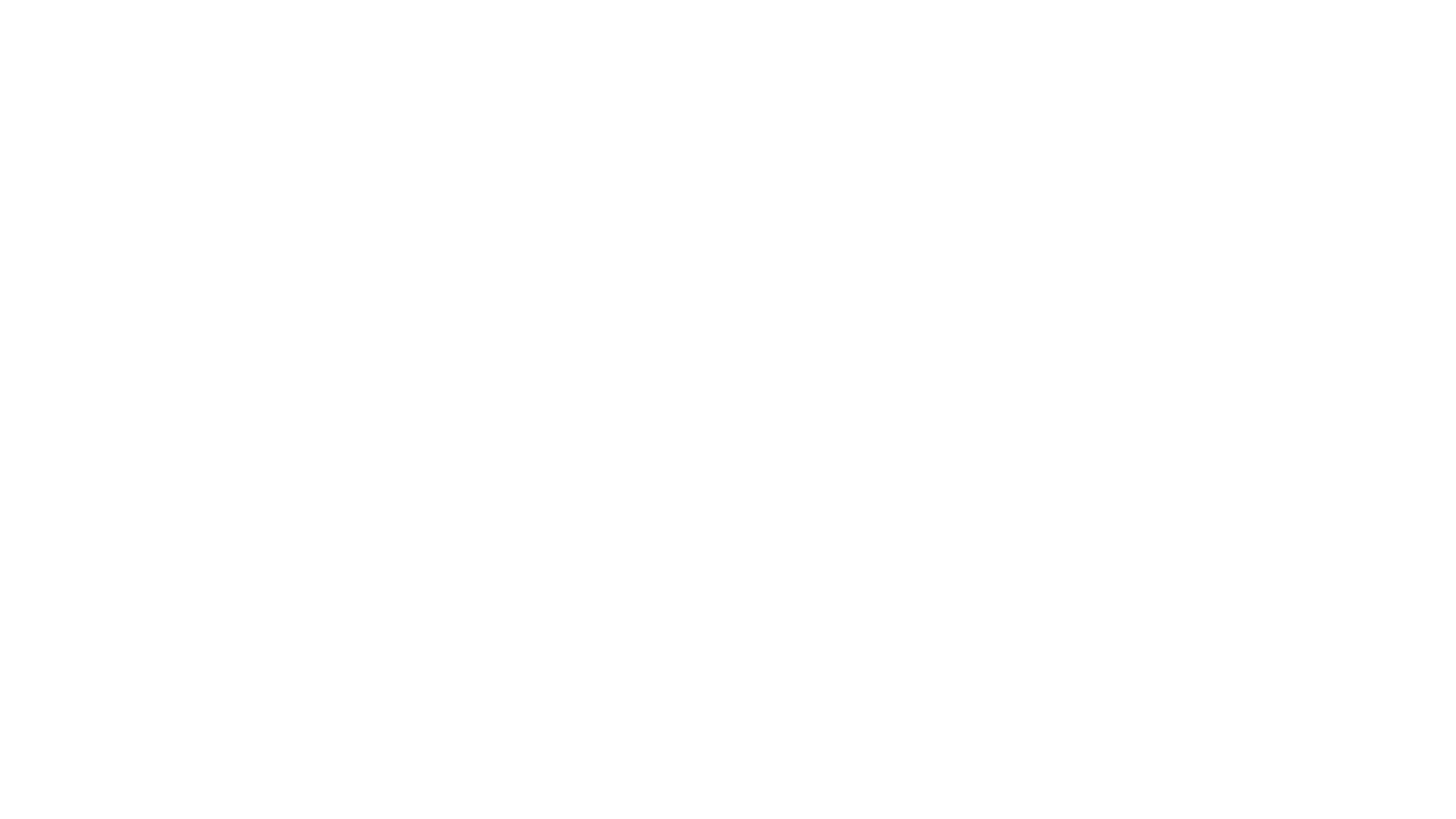 Faux Magiciens
