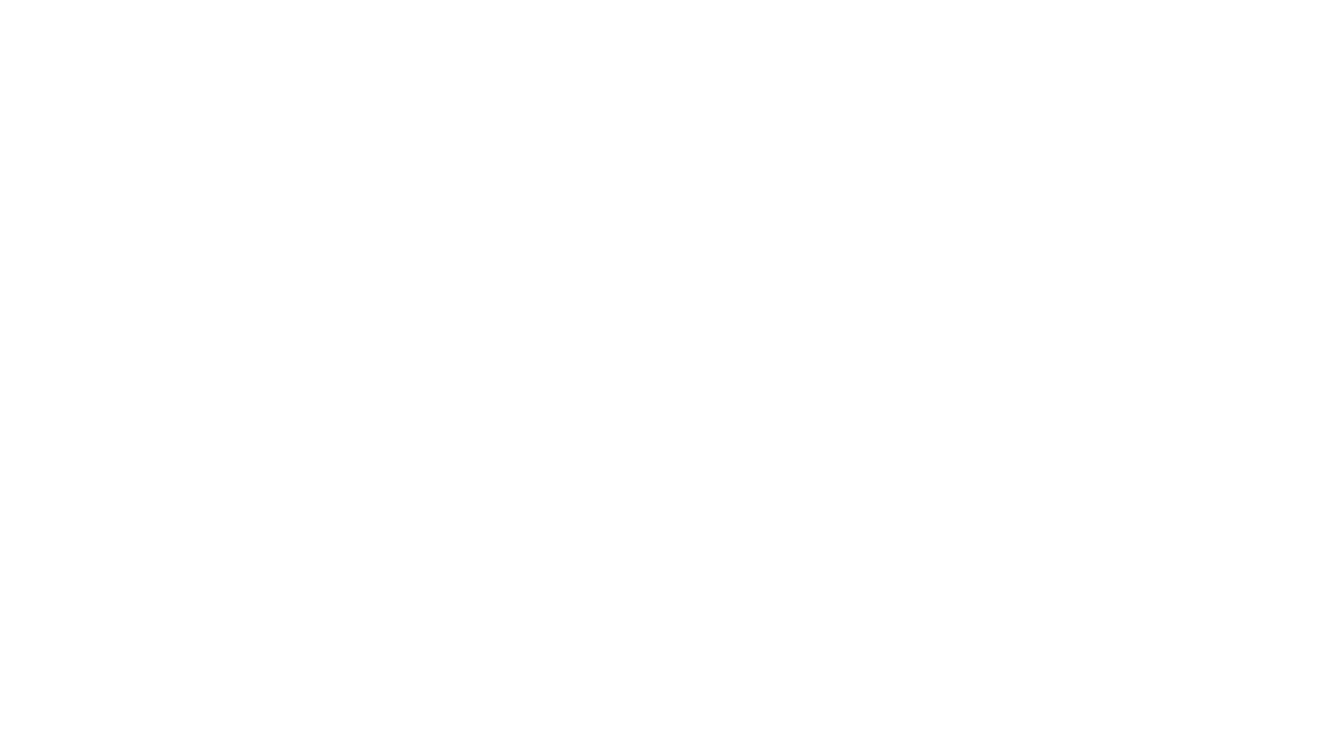 Festival de Magie
